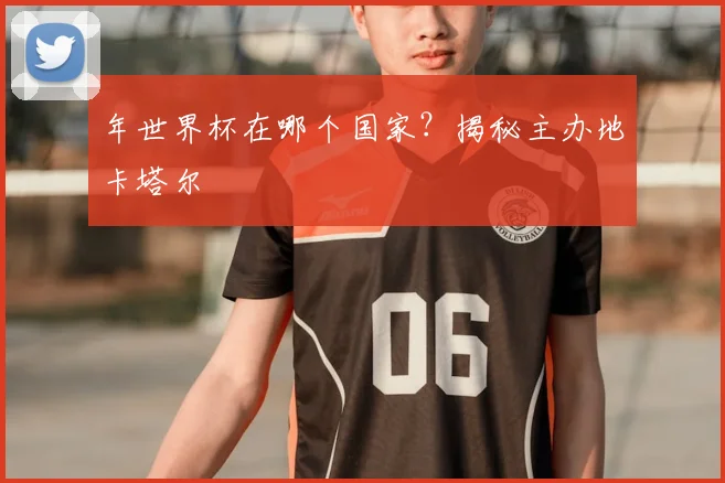 年世界杯在哪个国家？揭秘主办地卡塔尔