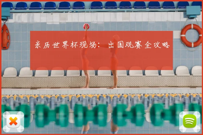 亲历世界杯现场：出国观赛全攻略