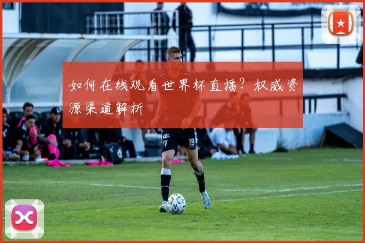 如何在线观看世界杯直播?权威资源渠道解析