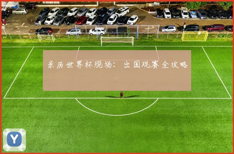 亲历世界杯现场：出国观赛全攻略