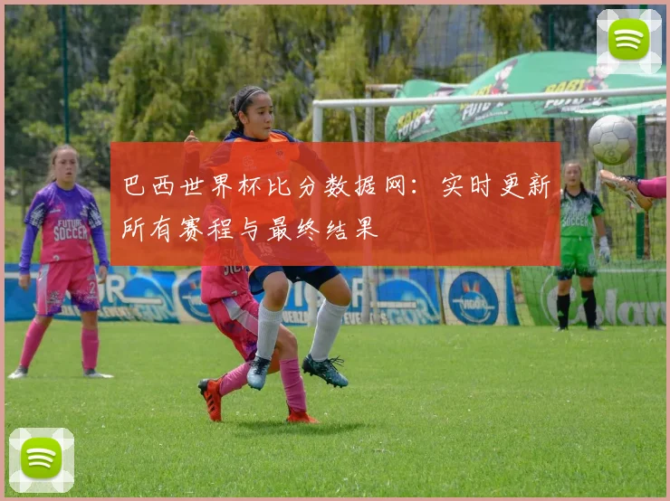 巴西世界杯比分数据网：实时更新所有赛程与最终结果