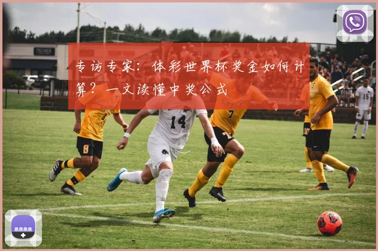 专访专家：体彩世界杯奖金如何计算？一文读懂中奖公式